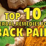 Top 10 herbal remedies for back pain